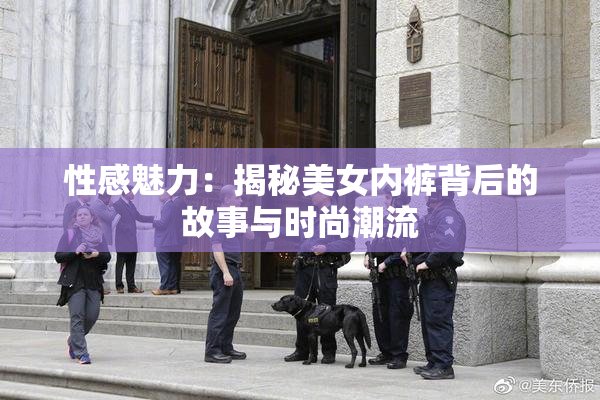 性感魅力：揭秘美女内裤背后的故事与时尚潮流