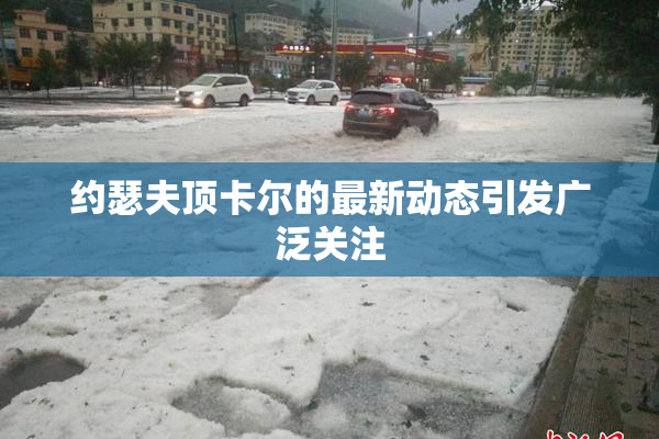 约瑟夫顶卡尔的最新动态引发广泛关注