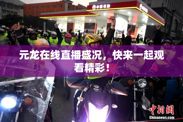 元龙在线直播盛况，快来一起观看精彩！