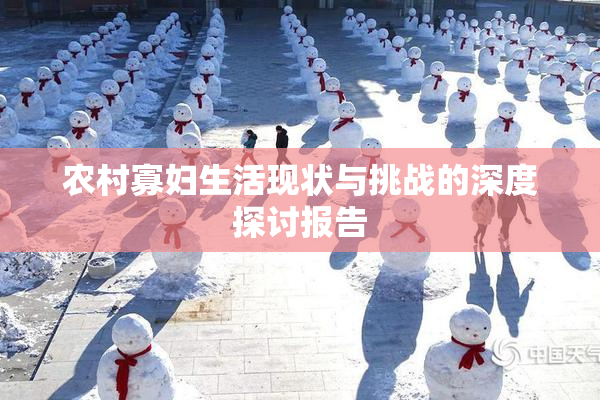 农村寡妇生活现状与挑战的深度探讨报告