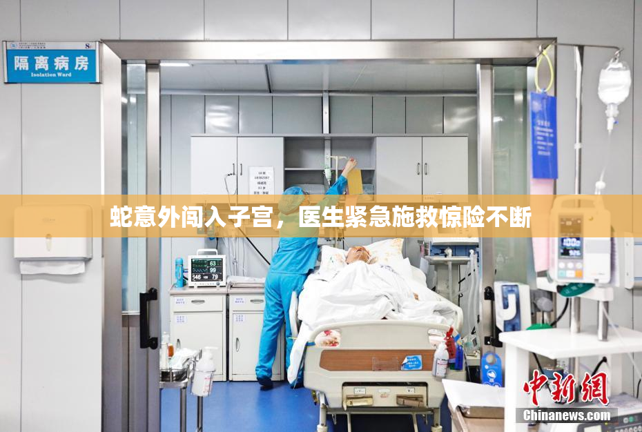 蛇意外闯入子宫，医生紧急施救惊险不断