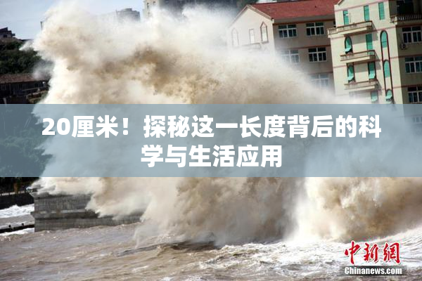 20厘米！探秘这一长度背后的科学与生活应用