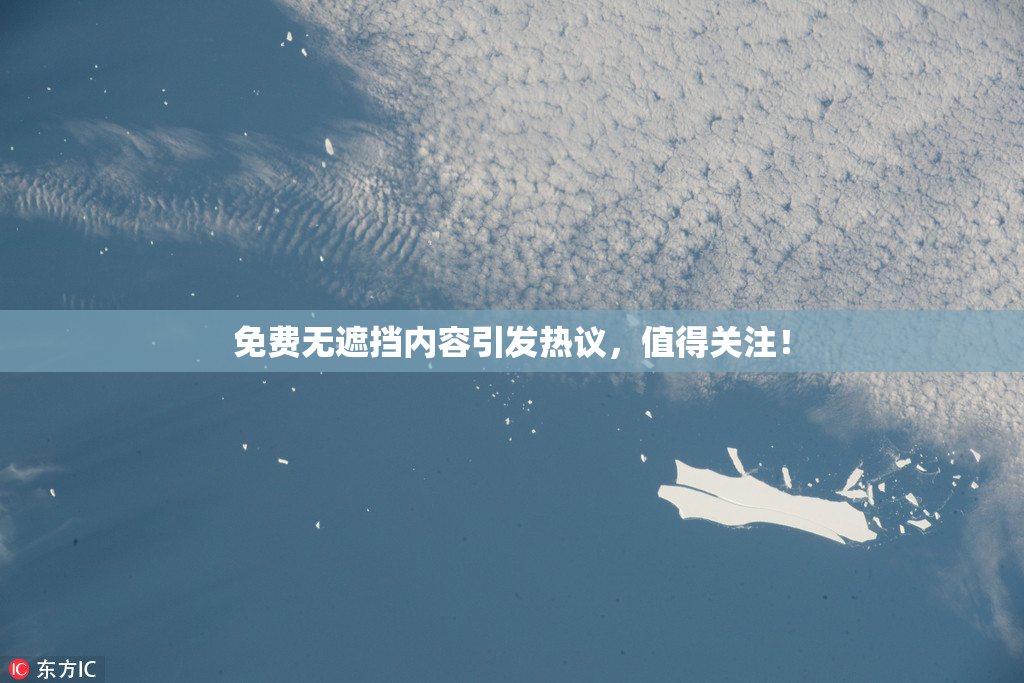 免费无遮挡内容引发热议，值得关注！