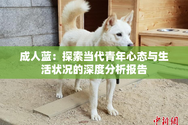 成人蓝：探索当代青年心态与生活状况的深度分析报告