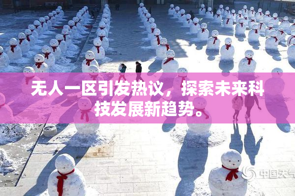 无人一区引发热议，探索未来科技发展新趋势。