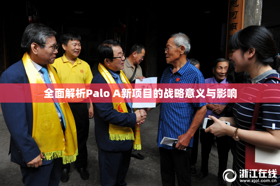 全面解析Palo A新项目的战略意义与影响