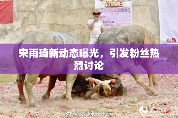 宋雨琦新动态曝光，引发粉丝热烈讨论
