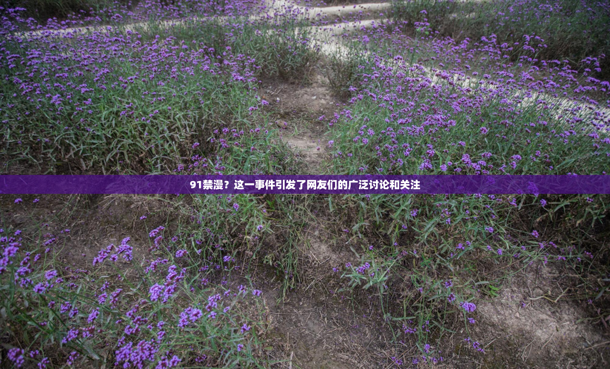 91禁漫？这一事件引发了网友们的广泛讨论和关注