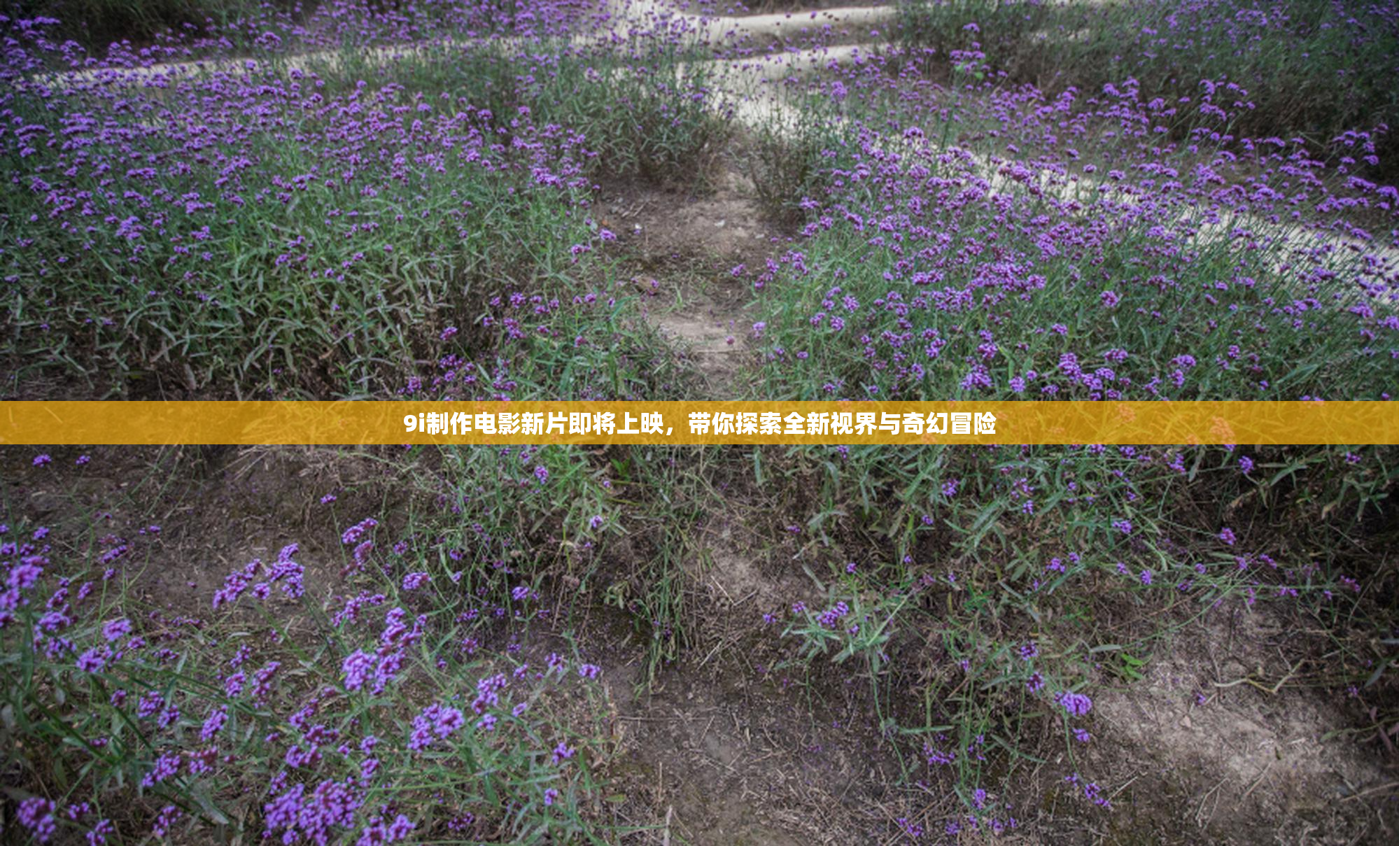 9i制作电影新片即将上映，带你探索全新视界与奇幻冒险