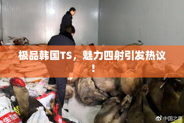 极品韩国TS，魅力四射引发热议！