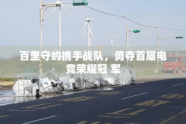 百里守约携手战队，勇夺首届电竞荣耀冠 军