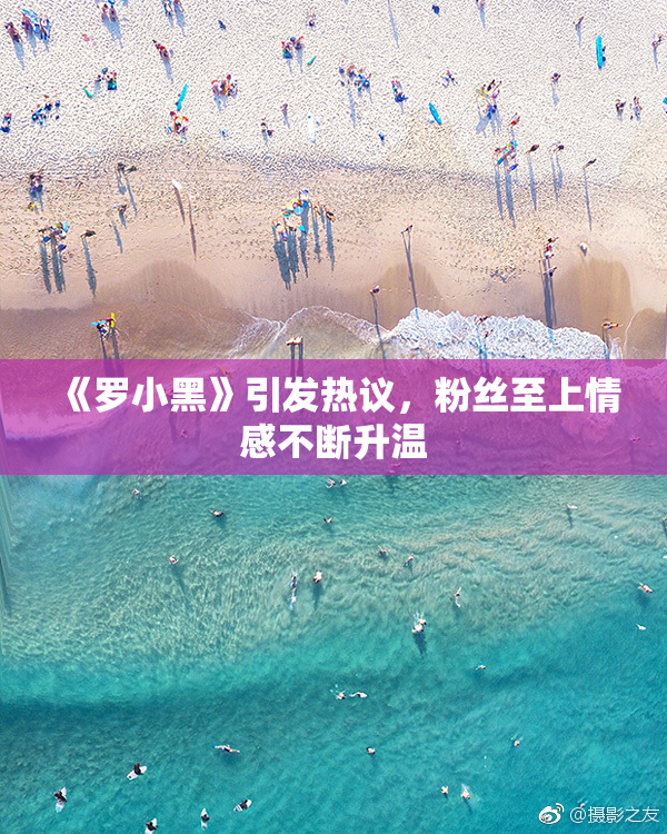 《罗小黑》引发热议，粉丝至上情感不断升温