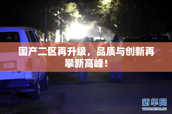 国产二区再升级，品质与创新再攀新高峰！