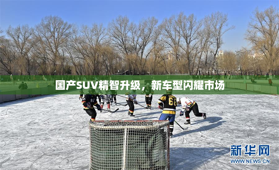 国产SUV精智升级，新车型闪耀市场