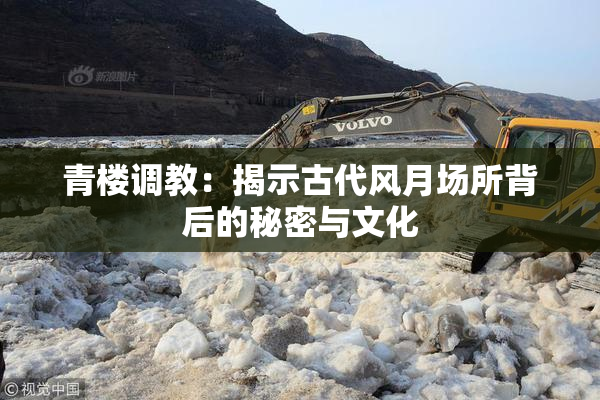 青楼调教：揭示古代风月场所背后的秘密与文化