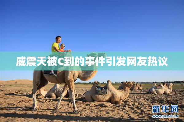 威震天被C到的事件引发网友热议