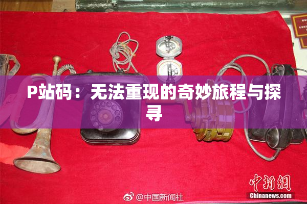 P站码：无法重现的奇妙旅程与探寻