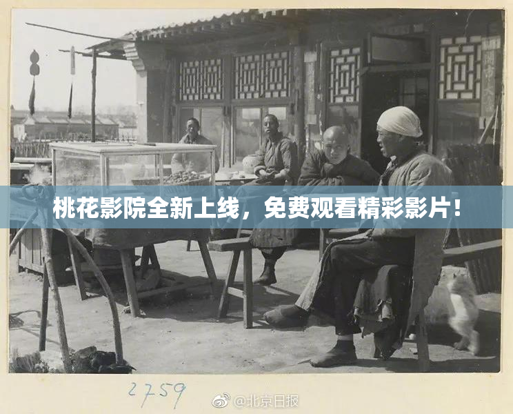 桃花影院全新上线，免费观看精彩影片！