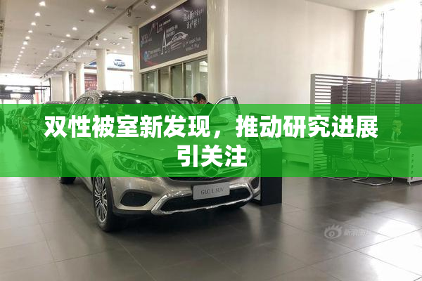 双性被室新发现，推动研究进展引关注