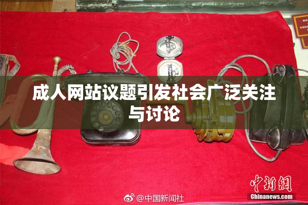 成人网站议题引发社会广泛关注与讨论