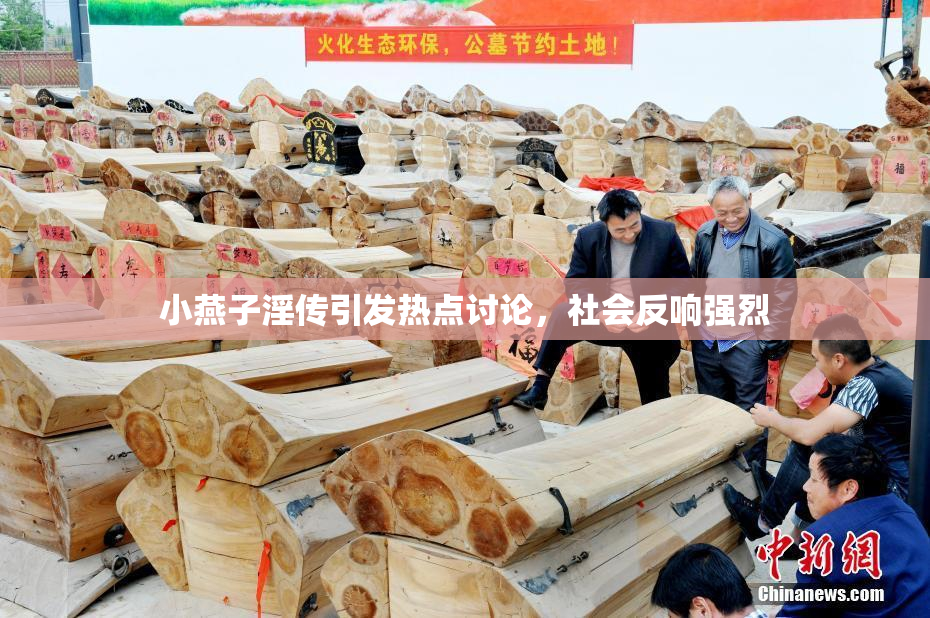 小燕子淫传引发热点讨论，社会反响强烈