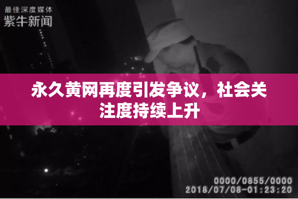 永久黄网再度引发争议，社会关注度持续上升
