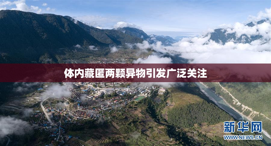 体内藏匿两颗异物引发广泛关注