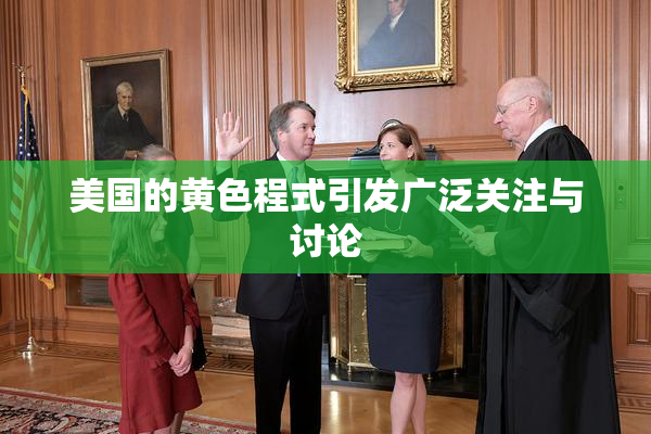 美国的黄色程式引发广泛关注与讨论