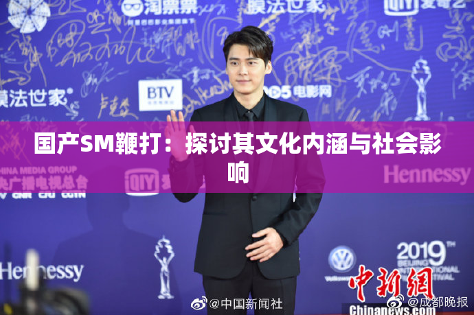 国产SM鞭打：探讨其文化内涵与社会影响