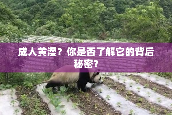 成人黄漫？你是否了解它的背后秘密？