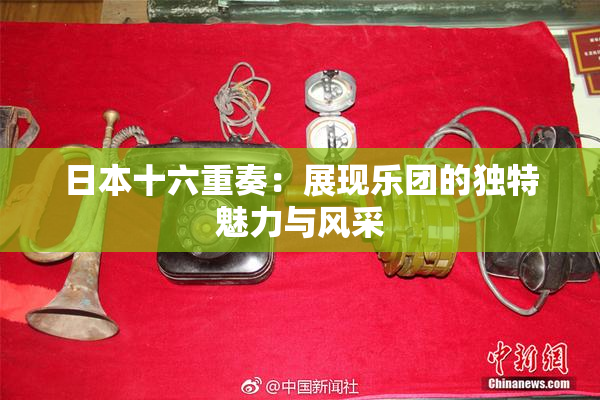 日本十六重奏：展现乐团的独特魅力与风采
