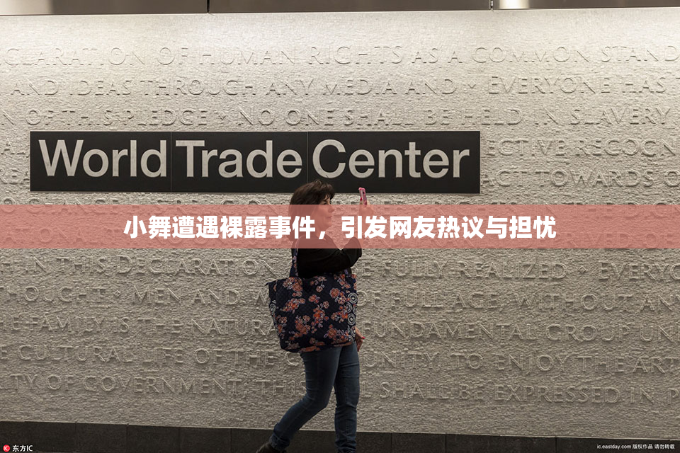 小舞遭遇裸露事件，引发网友热议与担忧