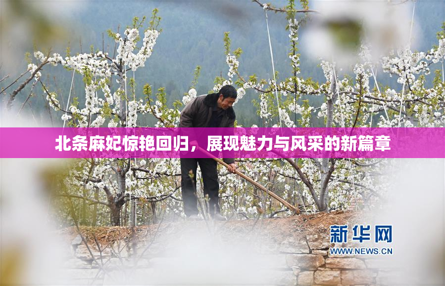 北条麻妃惊艳回归，展现魅力与风采的新篇章