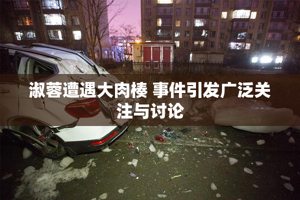 淑蓉遭遇大肉楱 事件引发广泛关注与讨论