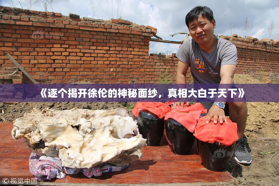 《逐个揭开徐伦的神秘面纱，真相大白于天下》