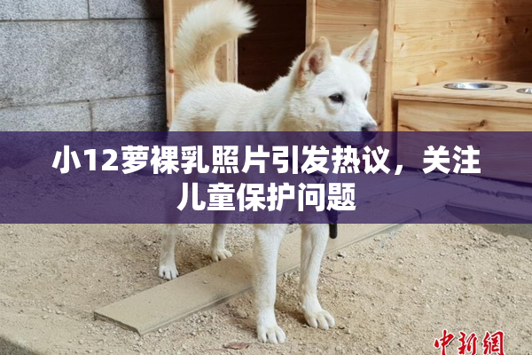 小12萝裸乳照片引发热议，关注儿童保护问题