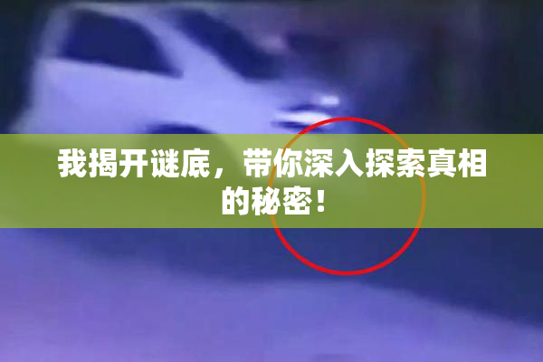 我揭开谜底，带你深入探索真相的秘密！