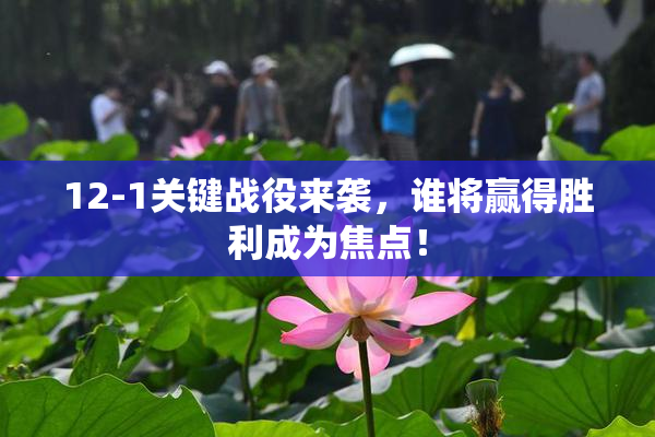 12-1关键战役来袭，谁将赢得胜利成为焦点！