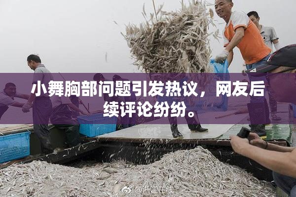 小舞胸部问题引发热议，网友后续评论纷纷。