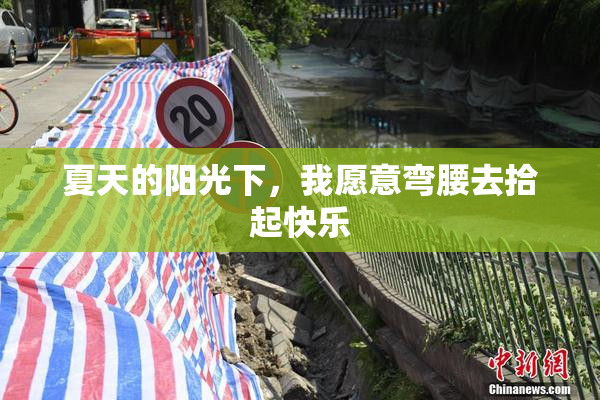 夏天的阳光下，我愿意弯腰去拾起快乐