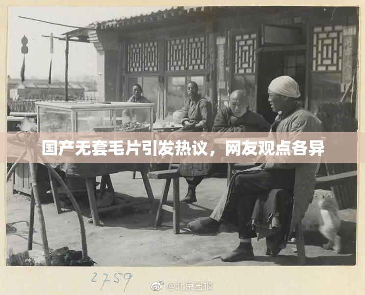 国产无套毛片引发热议，网友观点各异
