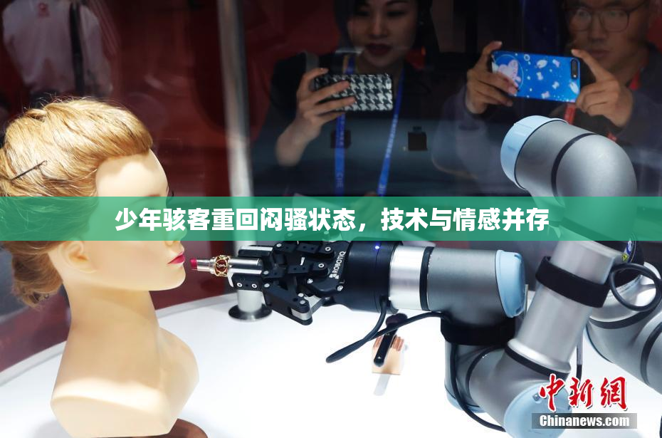少年骇客重回闷骚状态，技术与情感并存