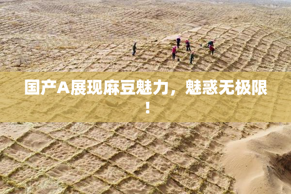国产A展现麻豆魅力，魅惑无极限！