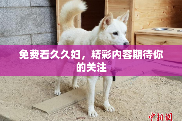 免费看久久妇，精彩内容期待你的关注