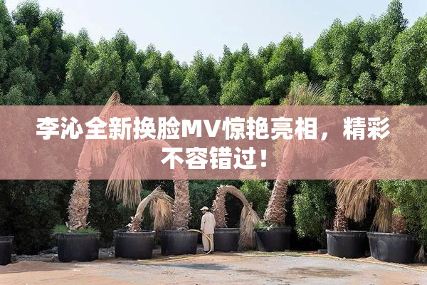 李沁全新换脸MV惊艳亮相，精彩不容错过！
