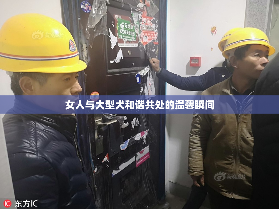 女人与大型犬和谐共处的温馨瞬间