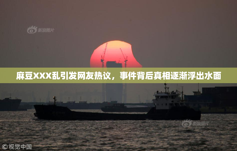 麻豆XXX乱引发网友热议，事件背后真相逐渐浮出水面