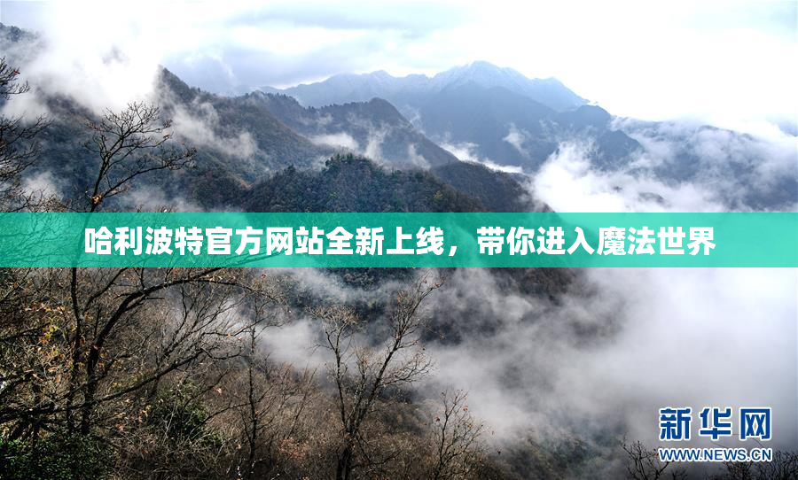 哈利波特官方网站全新上线，带你进入魔法世界