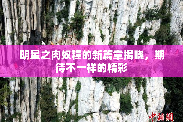 明星之肉奴程的新篇章揭晓，期待不一样的精彩