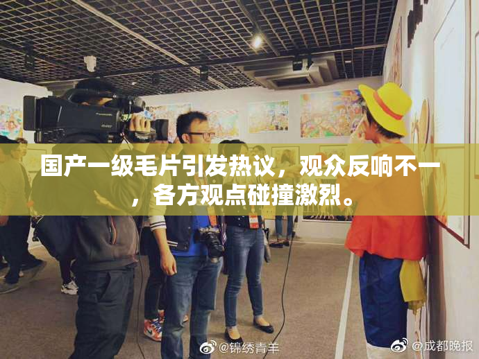 国产一级毛片引发热议，观众反响不一，各方观点碰撞激烈。